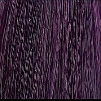 Wild Color V VIOLET Фиолетовый