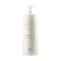 Фото Trinity Care Essentials Silver Reflex Shampoo - Тринити Кейр Эссеншлс Сильвер Рефлекс Шампунь оттеночный серебряный, 1000 мл