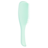 Фото Tangle Teezer The Wet Detangler Mini Sea Green - Тангл Тизер Расческа мини для волос с ручкой нежно-салатовая