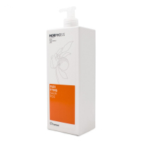 Фото Framesi Morphosis Purifying Shampoo - Фрамези Морфозис Пурифаинг Шампунь от перхоти для глубокого очищения, 1000 мл