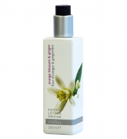 Фото Kinetics Skin Care - Кинетикс Скин Кэйр Лосьон увлажняющий для рук и тела "Цветок апельсинового дерева и Имбирь", 250 мл
