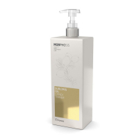Фото Framesi Morphosis Sublimis Oil Conditioner - Фрамези Морфозис Сублимис Ойл Кондиционер для волос на основе арганового масла, 1000 мл
