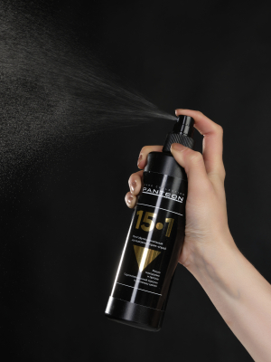 Фото Panteon Спрей для волос 15 в 1 Многофункциональный 150 мл Пантеон