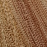 Колор Синк 10WN Очень-очень светлый блондин теплый натуральный