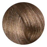 Colordesign 9NA ash natural very light blond
