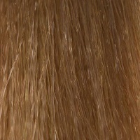 COT 9/7 birke Очень светлый блонд коричневый