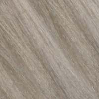 Wild Color Ammonia Free 12.1 SSA Экстра суперплатиновый блонд пепельный